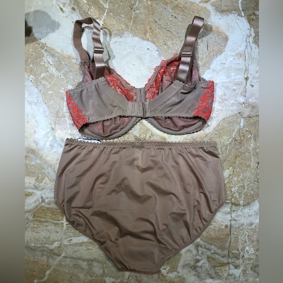 Prima Donna Soirée Full Cup Bra 36F (gently used) and XL Full Brief (NWT) - Picture 3 of 6
